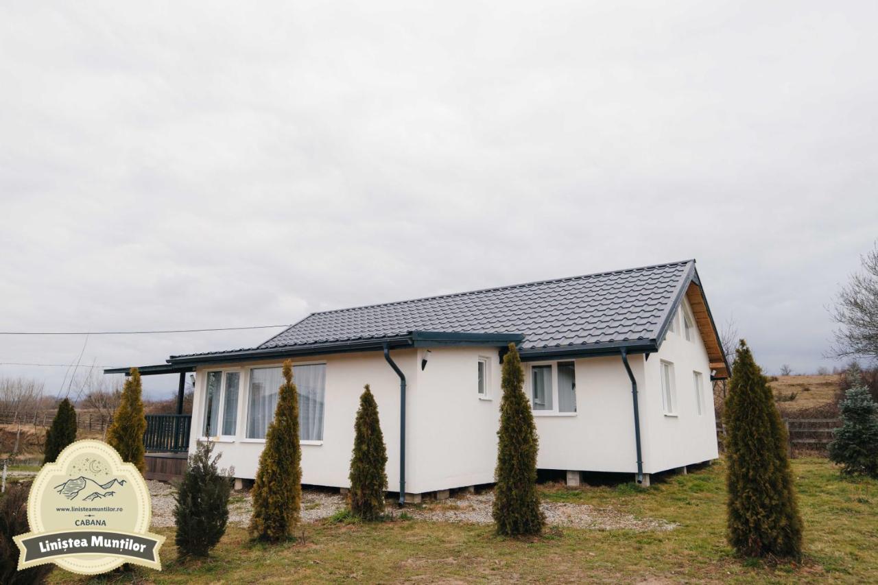 Linistea Muntilor Chalet Porumbacu de Sus Exterior foto