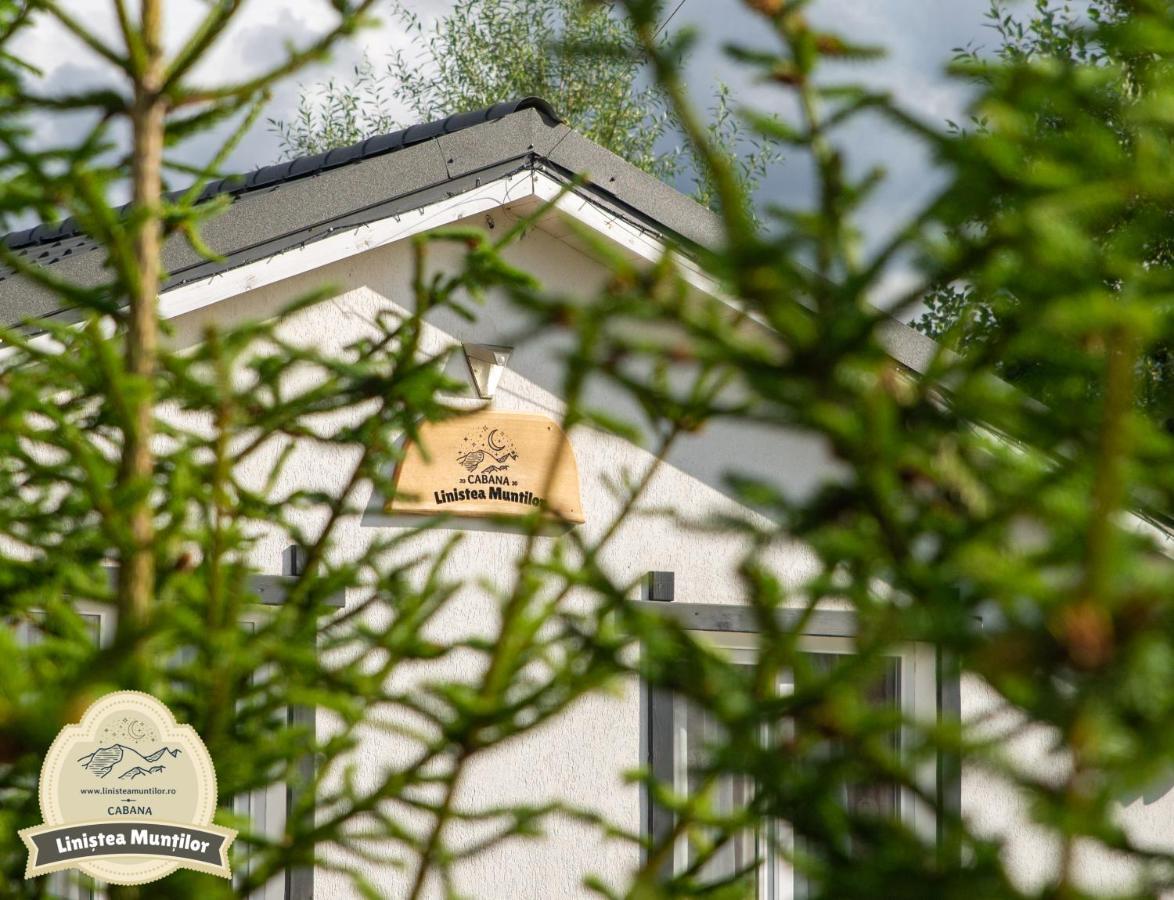 Linistea Muntilor Chalet Porumbacu de Sus Exterior foto