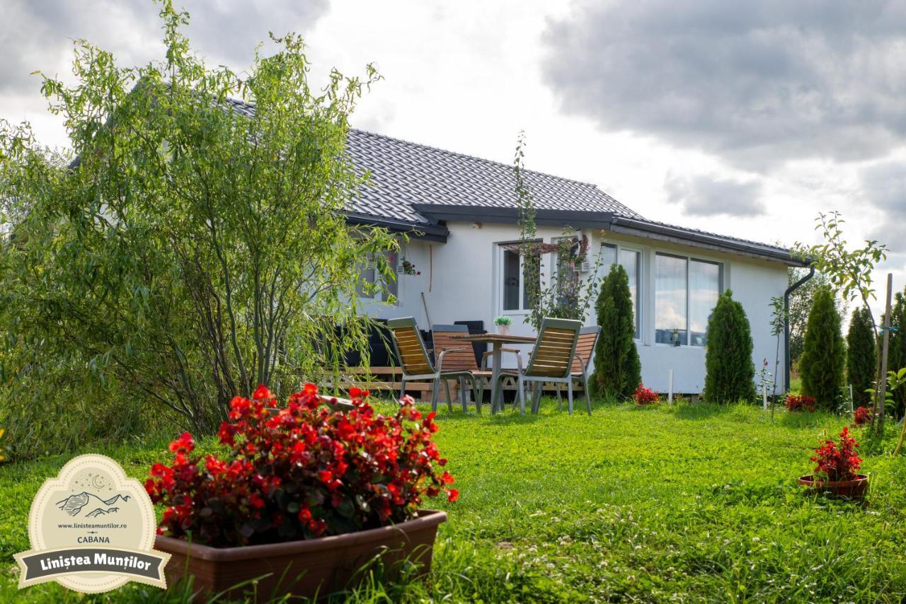 Linistea Muntilor Chalet Porumbacu de Sus Exterior foto